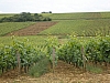 2008 juin bourgogne 056.jpg